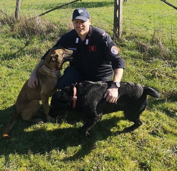 Cortazzone, quatto cani lasciati in balia del caldo salvati dai Carabinieri Forestali