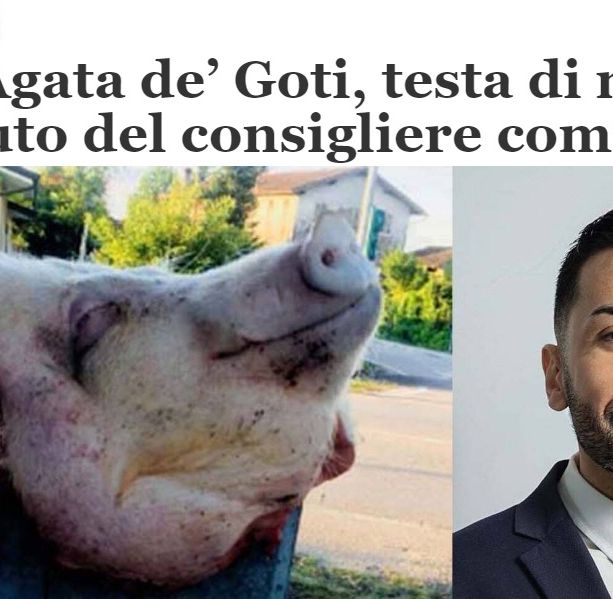 In Campania spunta un'intimidatoria testa di maiale per un consigliere comunale, ma un giornale usa foto di un avvocato di Asti