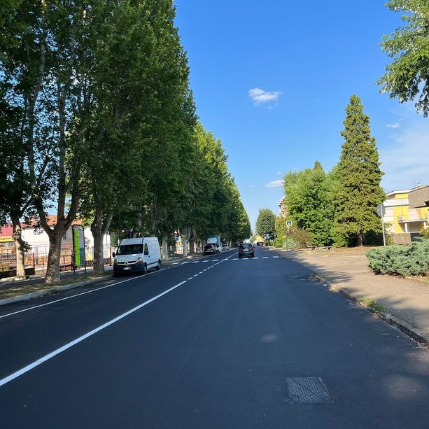 Asti: paura in viale Pilone. Grosso ramo finisce contro auto in sosta