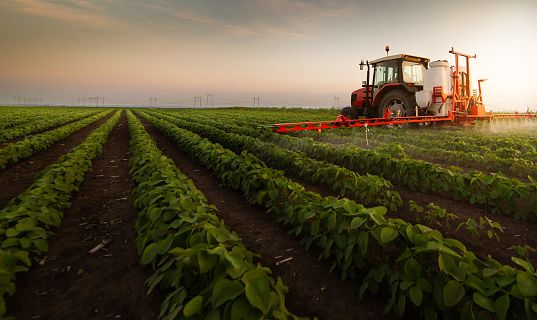 La Regione stanzia 8,6 milioni a sostegno delle aziende agricole pimontesi