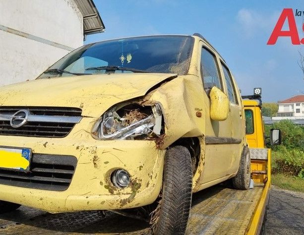 Finisce in un fosso a causa di un cinghiale. A soccorrere una coppia di fidanzati, un vigile del fuoco fuori servizio