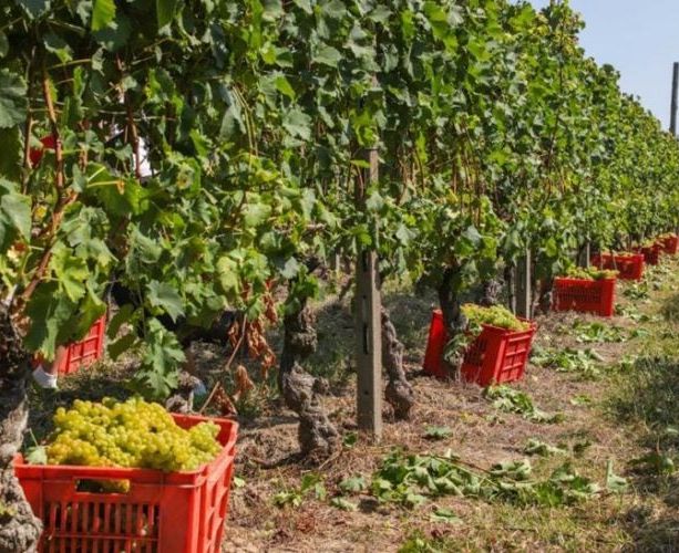 A Canelli riapre il dormitorio della Caritas. Potrà ospitare i braccianti della vendemmia [VIDEO]