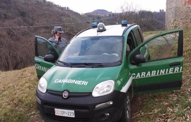 I carabinieri della Forestale avvertono: &quot;Nel 2022 boom di incendi, aumenta la pesca abusiva&quot;