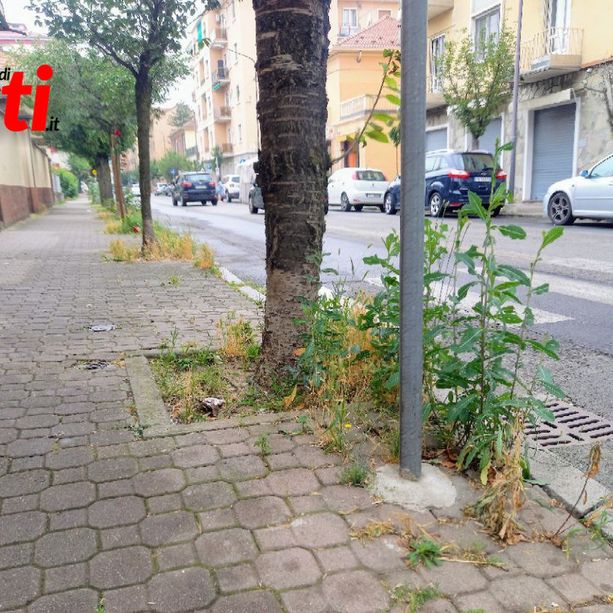 &quot;Alcool consumato a tutte le ore, gente bivaccata che urina per strada: questo è Corso Matteotti&quot; [FOTO E VIDEO]