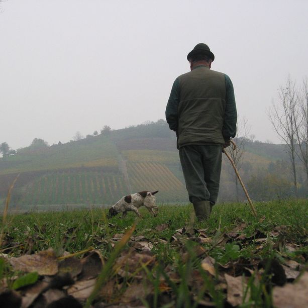 A Canelli tornano le fiere d’autunno: San Martin e il tartufo bianco