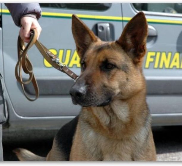 È stata assolta l'impiegata bancaria canellese accusata di riciclaggio