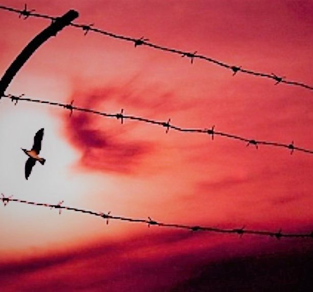 Anche Asti e l’Astigiano celebrano il Giorno della Memoria