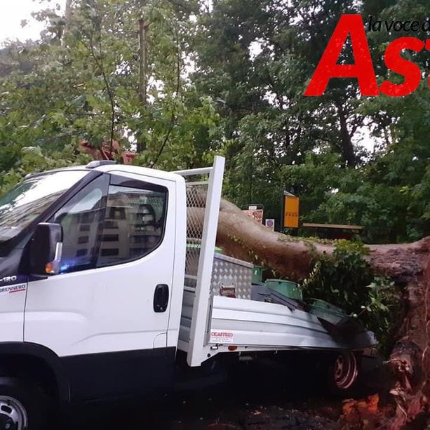 Il maltempo flagella anche Asti: un albero è caduto su un furgone in via Rosselli