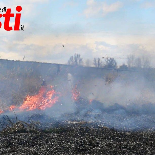Vasto incendio di sterpaglie lungo il Borbore [GALLERIA FOTOGRAFICA]