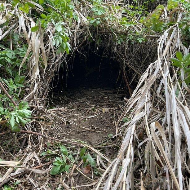 Si infittisce il mistero che circonda il caso Farinella: alterati i luoghi delle ricerche
