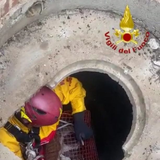 Gatto precipita in un pozzo a Rocca d'Arazzo. Salvato dai vigili del fuoco