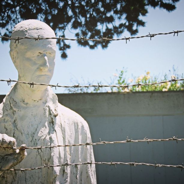 Giorno della Memoria, parola al presidente ILSREC Giacomo Ronzitti: “Dietro ogni saluto romano ci sono milioni di morti”