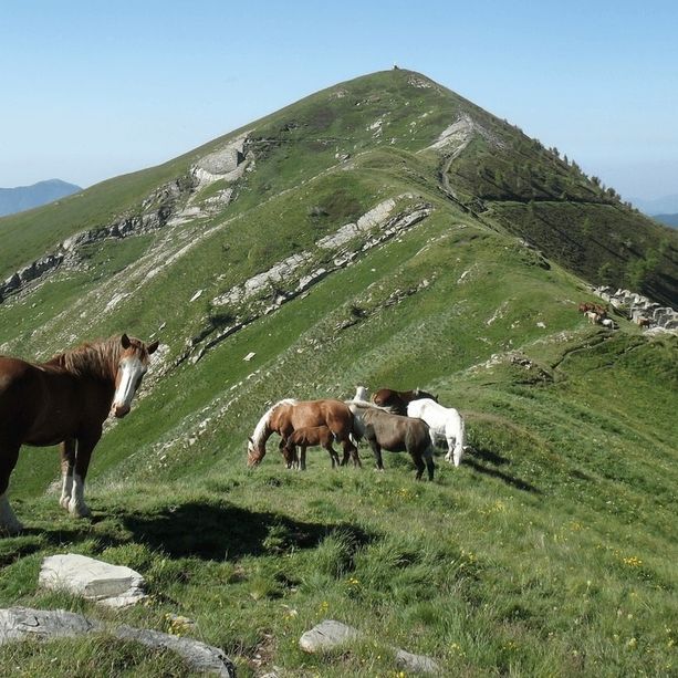 Recupero della sentieristica, la Regione Liguria è in prima linea