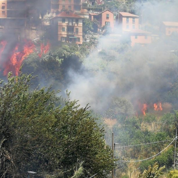 Incendio nei boschi di Molassana, riaperta a senso unico alternato via Mogadiscio (Foto e video)