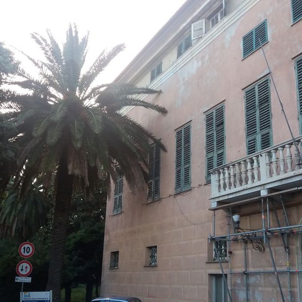 Palmaro, il tristissimo declino di Villa De Mari