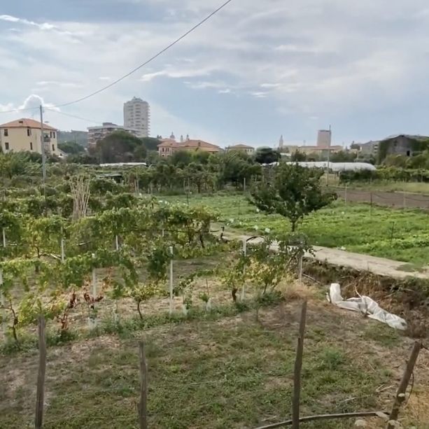 Diga Perfigli, ultima chiamata contro un progetto “mostro&quot;