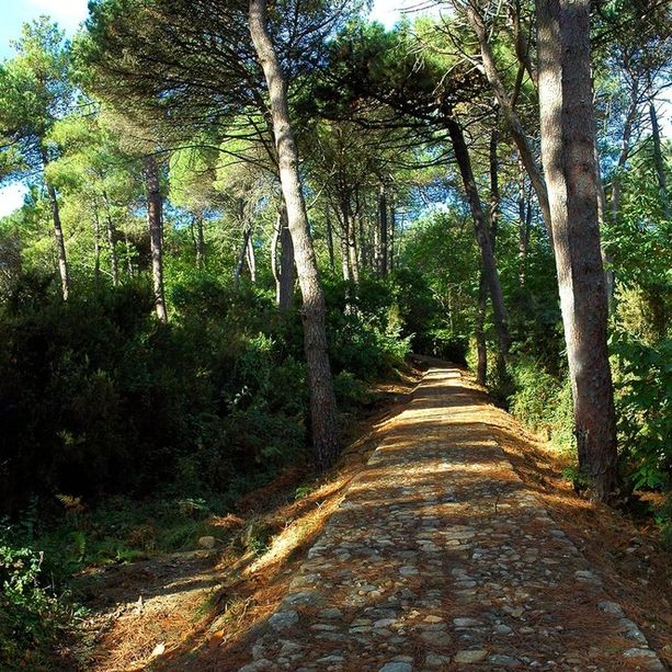 Parco di Portofino, il Coordinamento: “Già persi due milioni, ora si vada avanti”