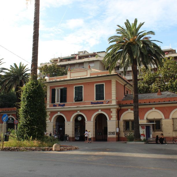 Pegli, allarme scarafaggi nelle vie del centro, Fontana: “Serve un intervento”