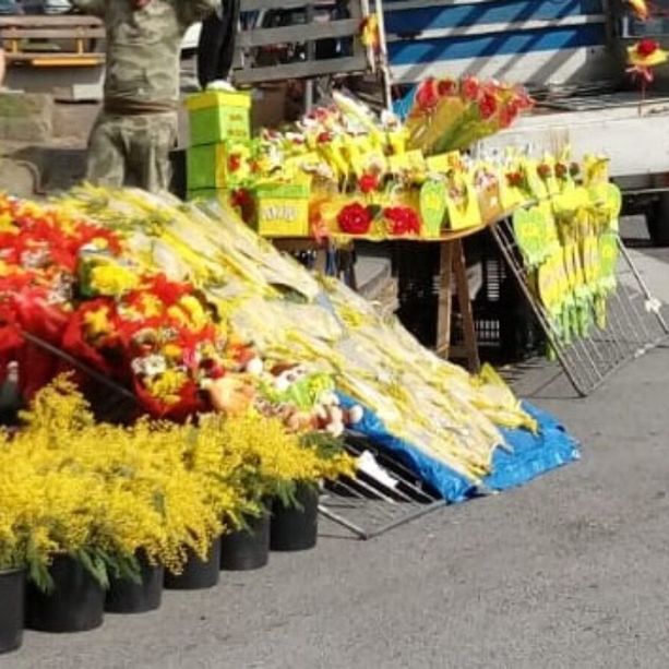 Gara di solidarietà a Molassana per il venditore di mimose multato il giorno della Festa della Donna