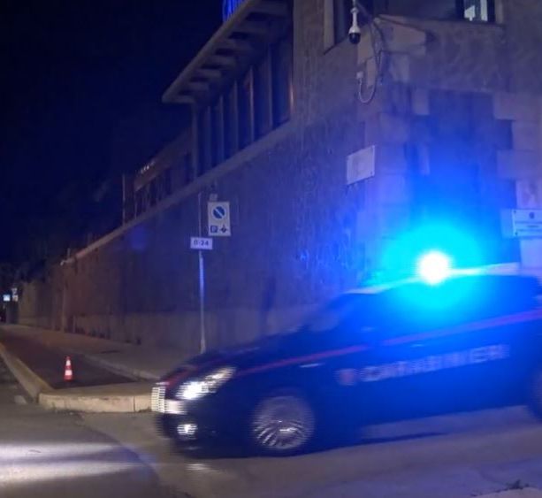 Traffico internazionale di stupefacenti: operazione di carabinieri di Genova, Dia e polizia tedesca (Video)