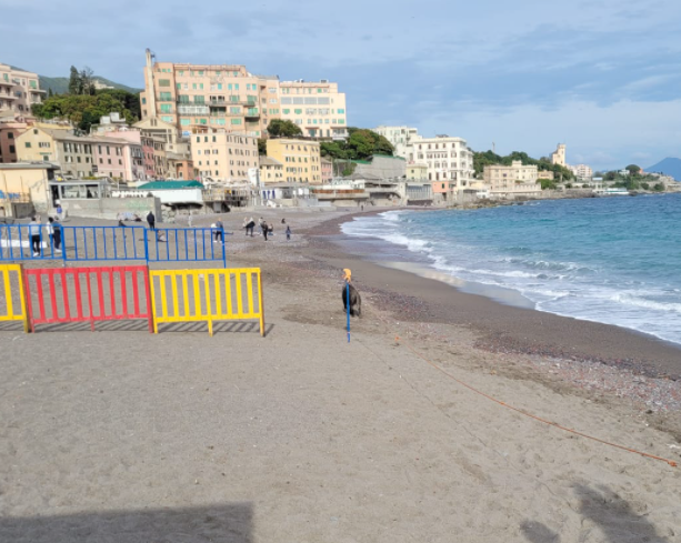 Cinghiale morde una donna a Sturla, il Municipio scrive al Prefetto: &quot;Si posizionino gabbie per catturarli&quot;