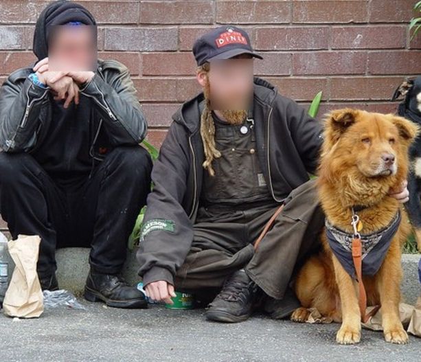 Le Guardie Zoofile sequestrano i cani a due clochard, uno muore, l'Enpa: &quot;Noi estranei all'operazione&quot;