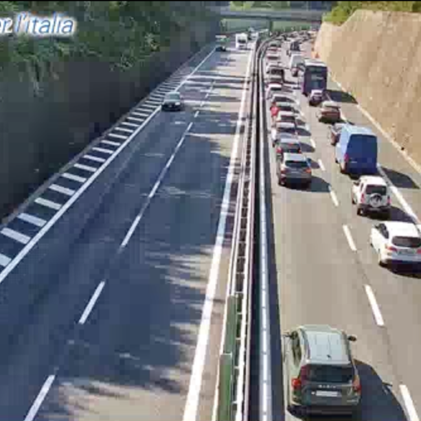 Caos autostrade, prende fuoco un furgone che trasporta cavalli sulla A12, traffico in tilt