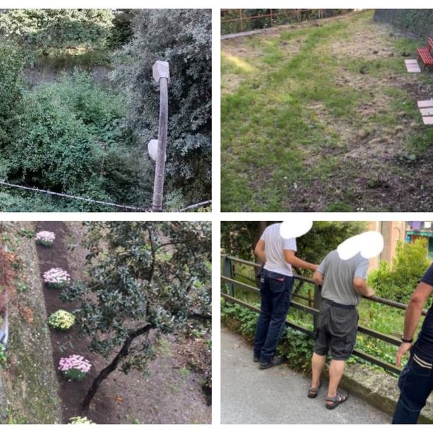 Un'odissea: i giardini del Fossato approdano in comune e il Municipio si attiva
