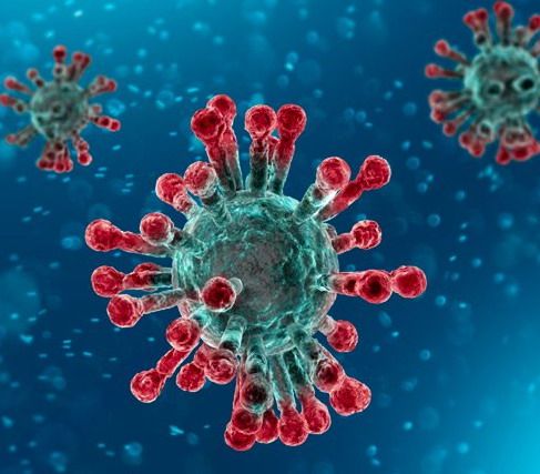 Coronavirus: in Liguria 1273 positivi, 181 più di ieri