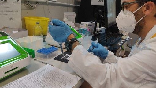 Coronavirus: numeri stazionari oggi in Liguria, 60 nuovi casi a Genova