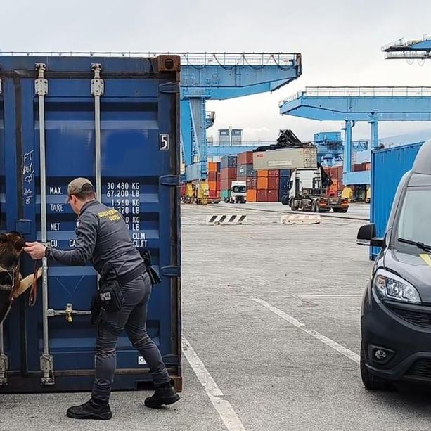 La coca nascosta tra le fave di cacao, le minacce per trovare il 'portuale infedele': &quot;Sei morto&quot;/le carte dell'operazione della Gdf