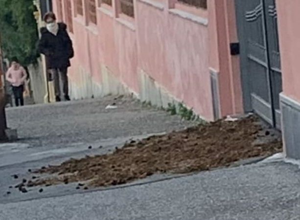 Blitz degli ultras della Sampdoria contro Edoardo Garrone, letame davanti casa e striscioni vicino alla Erg