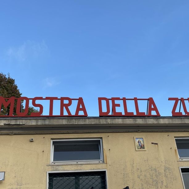 36° Mostra della Zucca di Murta, inizia il conto alla rovescia: curiosità, ricette e iniziative (Foto e Video)