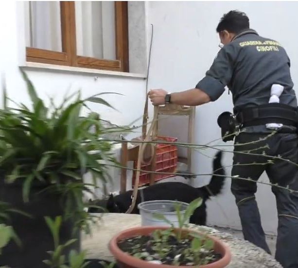 Maxi operazione antidroga della guardia di finanza, uno degli arrestati viveva a Rapallo (video)