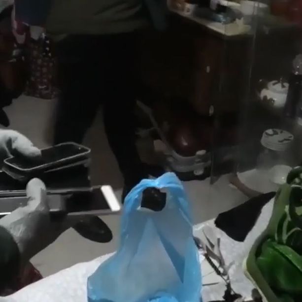 Genova, la Digos scopre filonazisti e materiale pedopornografico su Telegram, tre arresti