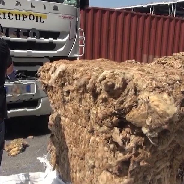 Porto di Genova, 160 kg di hashish nascosti tra la lana grezza, tre arresti (video)