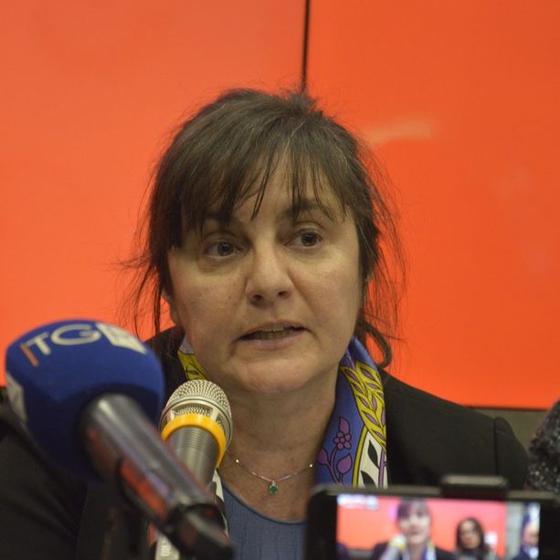 Nave in isolamento, Viale: &quot;In corso indagini epidemiologiche, attivate le procedure per contenere il virus&quot;