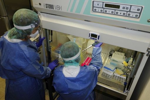 Coronavirus: cresce (di poco) il numero dei positivi in Liguria