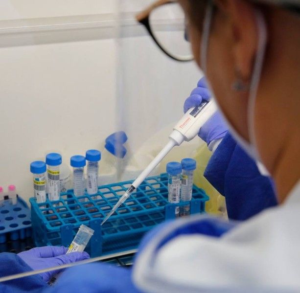 Coronavirus: 337 nuovi positivi in Liguria, 145 i nuovi positivi in provincia di Genova