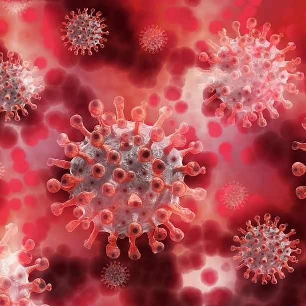 Coronavirus, 293 nuovi casi in Liguria registrati nelle ultime 24 ore