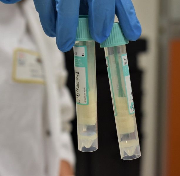 Coronavirus, in Liguria 1.144 i nuovi positivi nelle ultime 24 ore