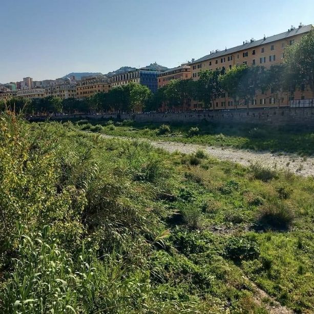 Valbisagno: incuria dei torrenti, la minoranza interroga il Municipio