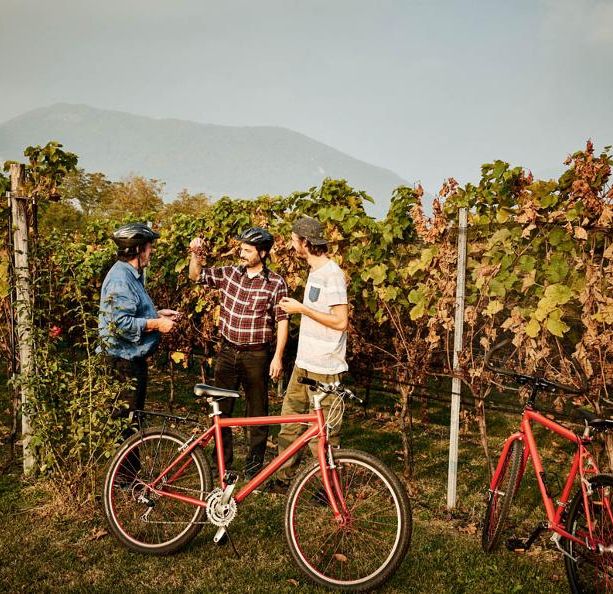 Bike'n'Wine, pedalando nel Mendrisiotto alla scoperta del vino