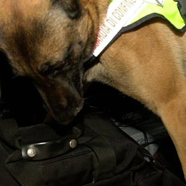 Passa il valico di Indemini con 8 chili di eroina in auto: arrestato giovane albanese