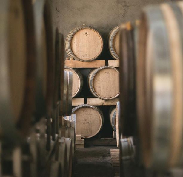 In Ticino si avvicina l’ora delle giornate delle cantine aperte