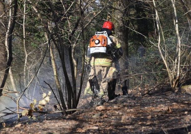 Incendio boschivo a Verdasio, nel Locarnese