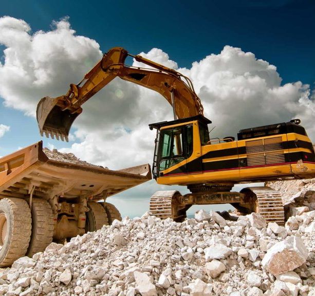 Il Movimento per il Socialismo non arretra: “L’inutilità del PSE colpisce anche l’ambiente”