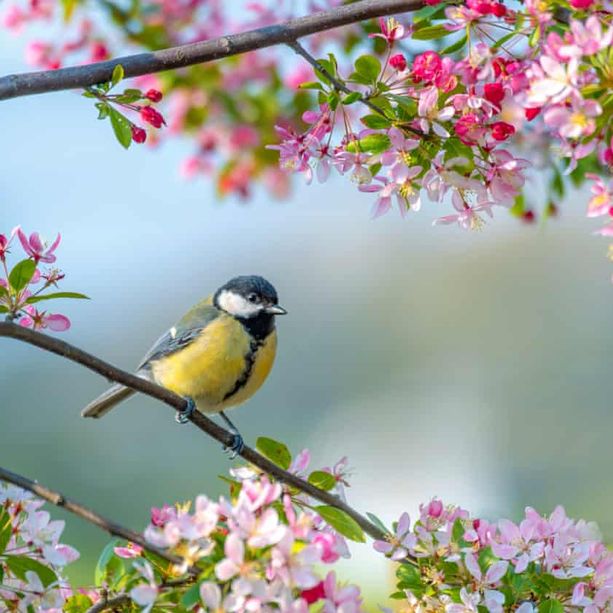 Arriva la primavera e nasce la &quot;Giornata cantonale sulla vita&quot;