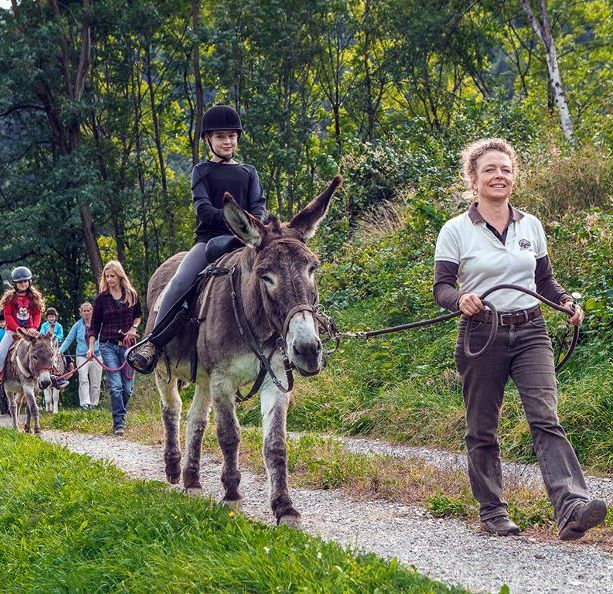 Trekking e avventure con gli asini