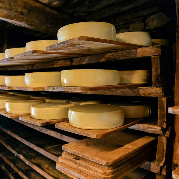 Al via la nona edizione della rassegna agroalimentare “Caseifici aperti”